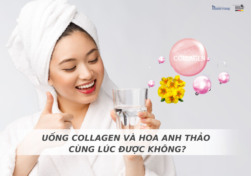 GIẢI ĐÁP: UỐNG COLLAGEN VÀ HOA ANH THẢO CÙNG LÚC ĐƯỢC KHÔNG